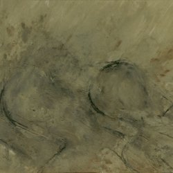 camaieu i 52 x 72